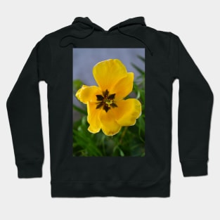 Yellow Flower Hoodie